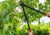 Ágvágó 72cm BLACK+DECKER