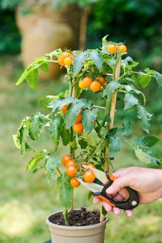 Kerti virágvágó 15cm  B+D