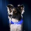 Kutya nyakörv LED 3szín