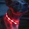 Kutya nyakörv LED 3szín