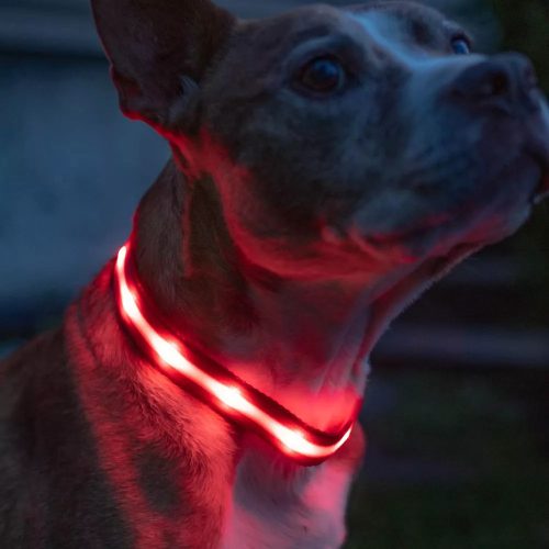 Kutya nyakörv LED 3szín