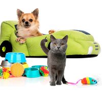 Kisállat felszerelés